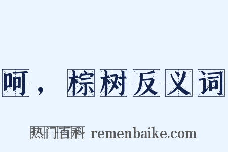 呵，棕树反义词是什么意思的图片